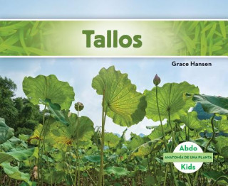 Książka Tallos/ Stems Grace Hansen