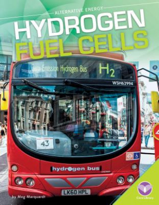 Boek Hydrogen Fuel Cells Meg Marquardt