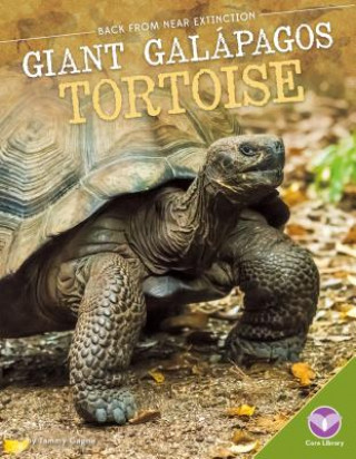 Kniha Giant Galapagos Tortoise Tammy Gagne