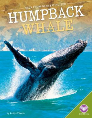 Book Humpback Whale Emily O'keefe