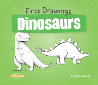 Knjiga Dinosaurs Katie Lajiness