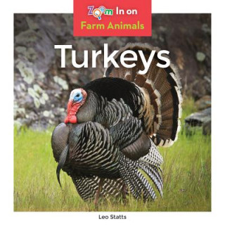 Book Turkeys Leo Statts