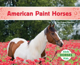 Carte American Paint Horses Grace Hansen