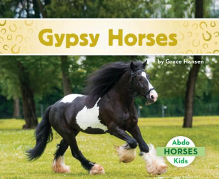 Kniha Gypsy Horses Grace Hansen