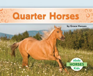 Kniha Quarter Horses Grace Hansen