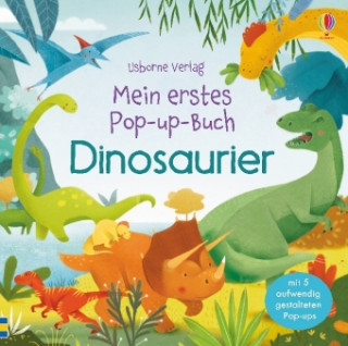 Carte Mein erstes Pop-up-Buch: Dinosaurier Fiona Watt
