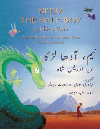 Kniha Neem the Half-Boy Idries Shah