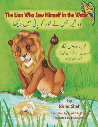 Kniha Lion Who Saw Himself in the Water Idries Shah