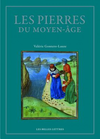 Книга FRE-LES PIERRES DU MOYEN AGE Valerie Gontero-Lauze