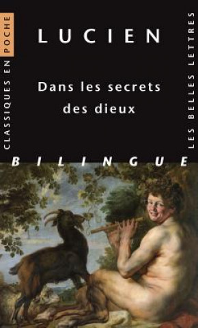 Kniha Lucien, Dans Les Secrets Des Dieux Anne-Marie Ozanam