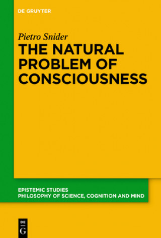 Kniha The Natural Problem of Consciousness Pietro Snider