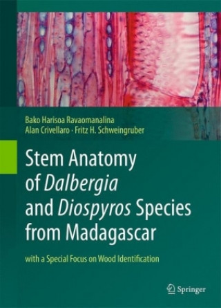 Książka Stem Anatomy of Dalbergia and Diospyros Species from Madagascar Bako Harisoa Ravaomanalina