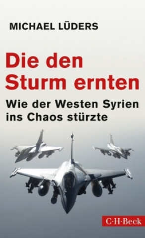 Kniha Die den Sturm ernten Michael Lüders