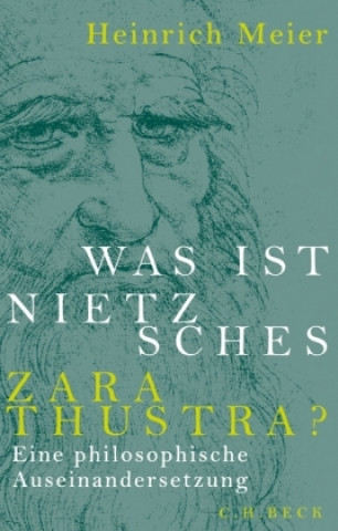 Kniha Was ist Nietzsches Zarathustra? Heinrich Meier