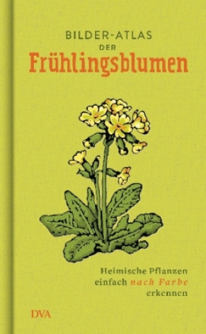 Книга Bilder-Atlas der Frühlingsblumen 