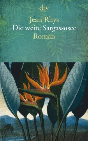 Kniha Die weite Sargassosee Jean Rhys