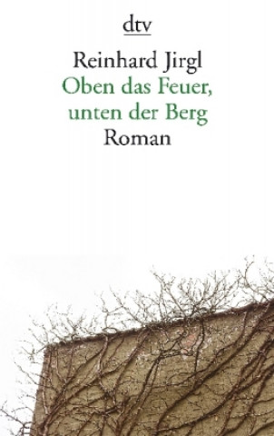 Книга Oben das Feuer, unten der Berg Reinhard Jirgl