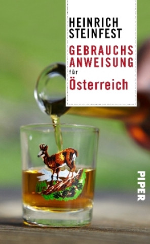 Kniha Gebrauchsanweisung für Österreich Heinrich Steinfest