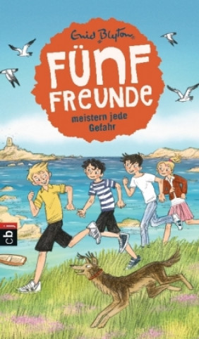 Buch Fünf Freunde meistern jede Gefahr Enid Blyton