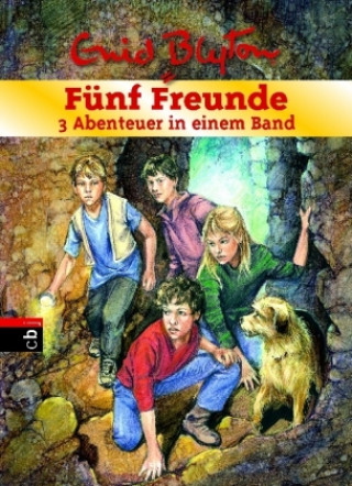 Carte Fünf Freunde - 3 Abenteuer in einem Band Enid Blyton