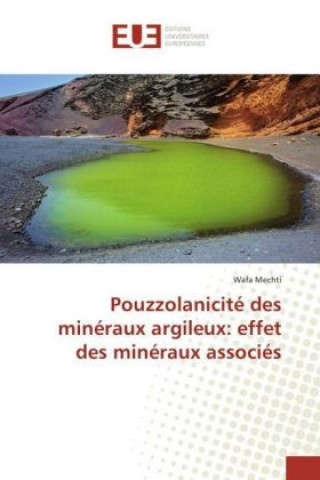 Carte Pouzzolanicité des minéraux argileux: effet des minéraux associés Wafa Mechti