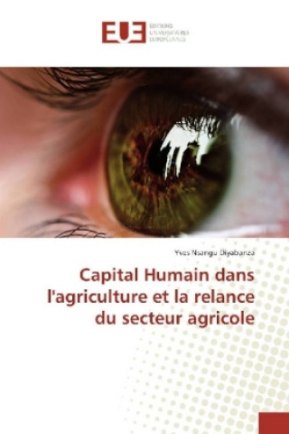 Książka Capital Humain dans l'agriculture et la relance du secteur agricole Yves Nsangu Diyabanza