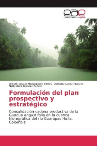 Carte Formulación del plan prospectivo y estratégico William Ignacio Montealegre Torres