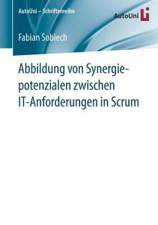 Book Abbildung Von Synergiepotenzialen Zwischen It-Anforderungen in Scrum Fabian Sobiech