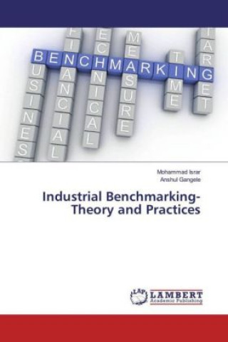 Könyv Industrial Benchmarking-Theory and Practices Mohammad Israr