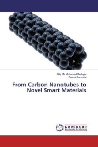 Buch From Carbon Nanotubes to Novel Smart Materials Gity Mir Mohamad Sadeghi