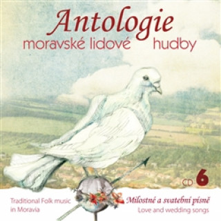 Audio Antologie moravské lidové hudby 6 