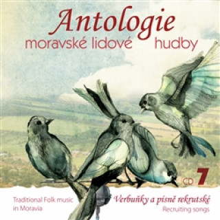 Audio Antologie moravské lidové hudby 7 