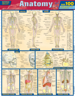 Kniha Anatomy Inc. Barcharts
