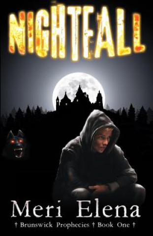 Knjiga Nightfall Meri Elena
