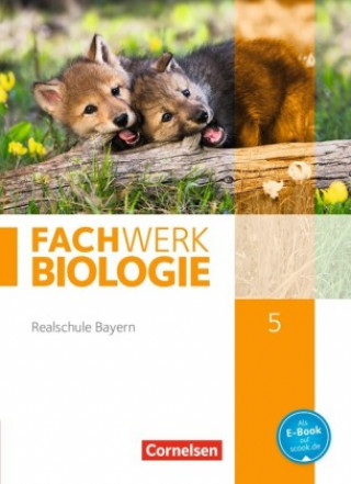 Knjiga Fachwerk Biologie - Realschule Bayern - 5. Jahrgangsstufe Ulrike Dives