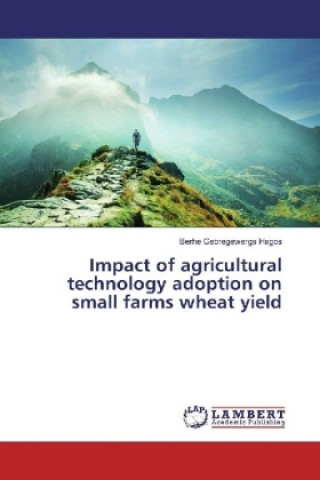 Kniha Impact of agricultural technology adoption on small farms wheat yield Berhe Gebregewergs Hagos