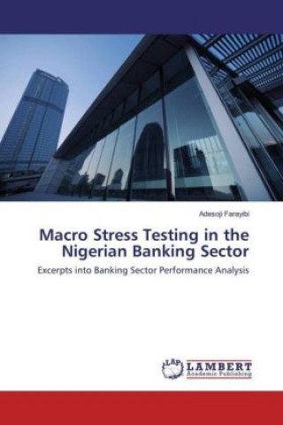 Kniha Macro Stress Testing in the Nigerian Banking Sector Adesoji Farayibi