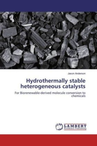 Kniha Hydrothermally stable heterogeneous catalysts Jason Anderson