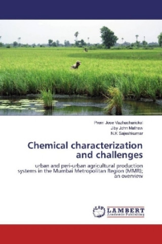 Könyv Chemical characterization and challenges Prem Jose Vazhacharickal