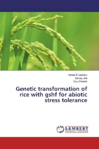 Kniha Genetic transformation of rice with gshf for abiotic stress tolerance Vishal Srivashtav