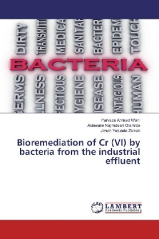 Kniha Bioremediation of Cr (VI) by bacteria from the industrial effluent Parvaze Ahmad Wani