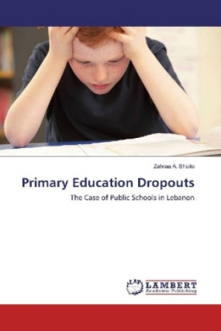 Knjiga Primary Education Dropouts Zahraa A. Shaito