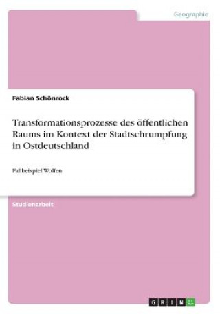 Książka Transformationsprozesse des oeffentlichen Raums im Kontext der Stadtschrumpfung in Ostdeutschland Fabian Schonrock