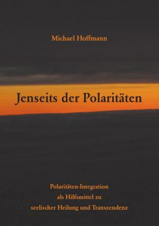 Kniha Jenseits der Polaritaten Michael Hoffmann