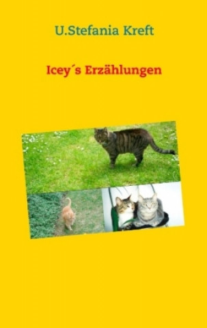 Kniha Iceys Erzählungen U. Stefania Kreft