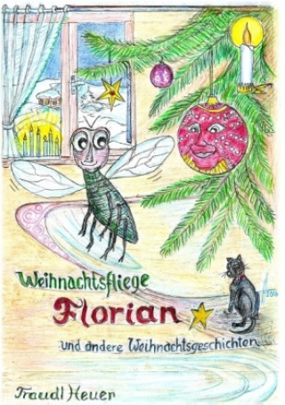 Kniha Weihnachtsfliege Florian und andere Weihnachtsgeschichten Traudl Heuer