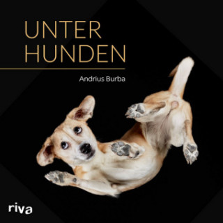 Könyv Unter Hunden Andrius Burba