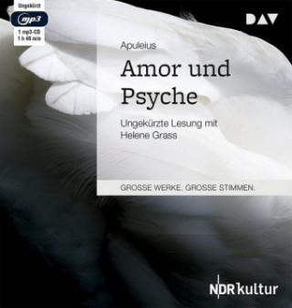 Audio Amor und Psyche Apuleius