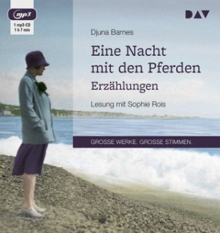 Audio Eine Nacht mit den Pferden. Erzählungen Djuna Barnes