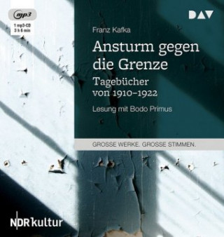 Audio Ansturm gegen die Grenze. Tagebücher von 1910-1922 Franz Kafka